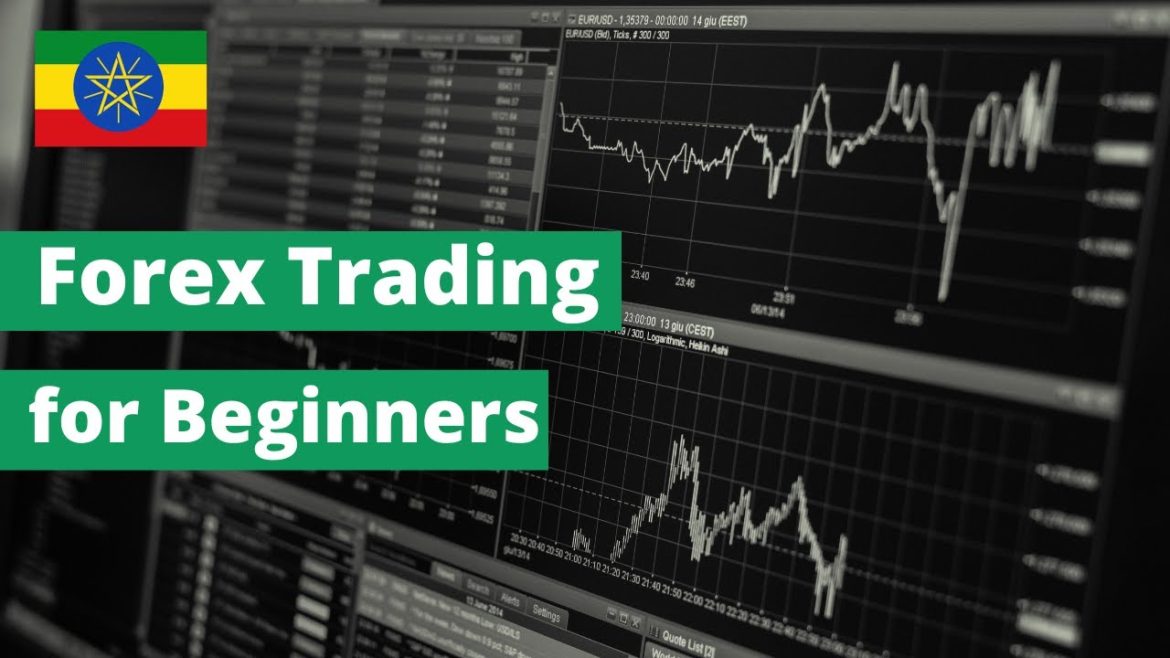 Forex Trading for Beginners | Ethiopia ??