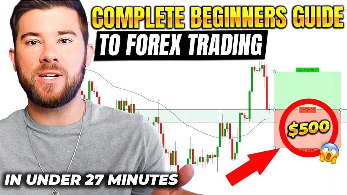 Forex Trading For Beginners (In Under 27 Minutes…)